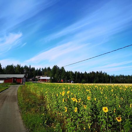 Maatilamatkailu Ilomaeki Seinäjoki エクステリア 写真