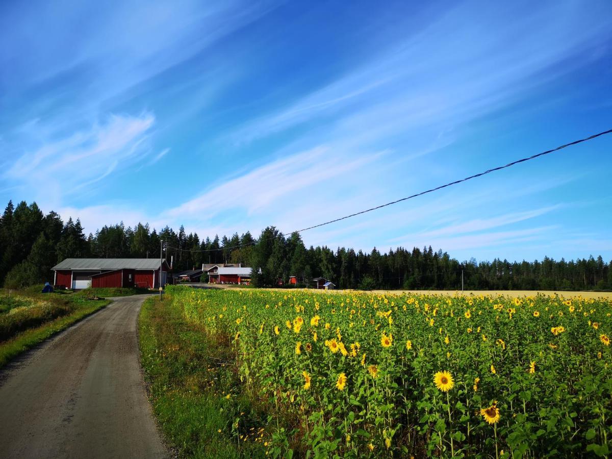 Maatilamatkailu Ilomaeki Seinäjoki エクステリア 写真