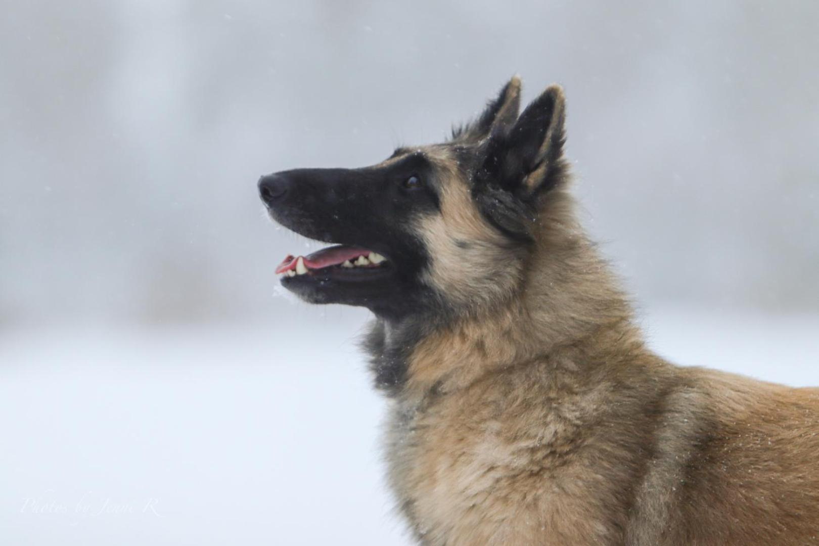 Maatilamatkailu Ilomaeki Seinäjoki エクステリア 写真