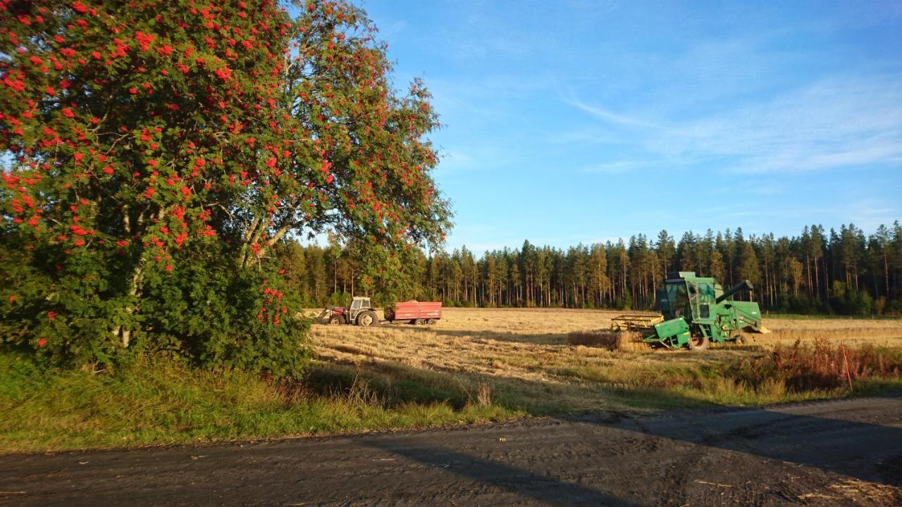 Maatilamatkailu Ilomaeki Seinäjoki エクステリア 写真