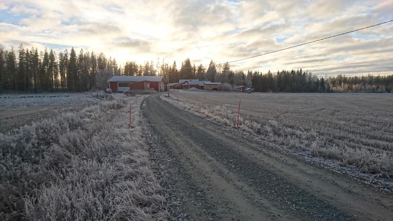 Maatilamatkailu Ilomaeki Seinäjoki エクステリア 写真