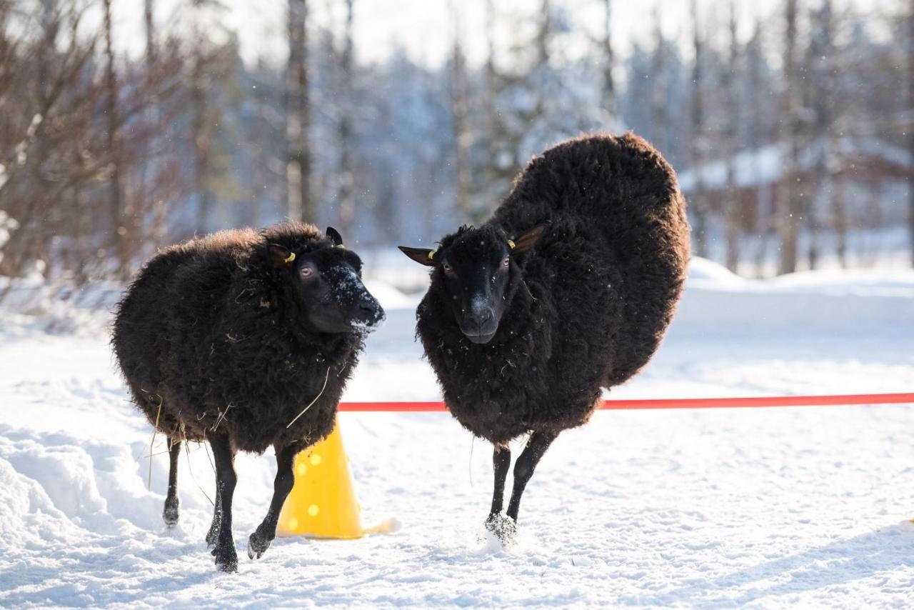 Maatilamatkailu Ilomaeki Seinäjoki エクステリア 写真