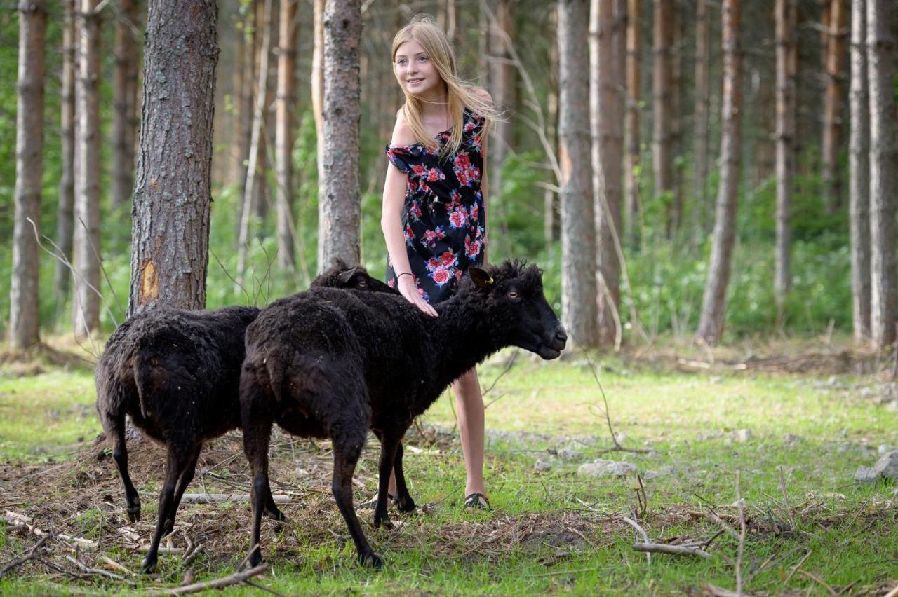 Maatilamatkailu Ilomaeki Seinäjoki エクステリア 写真